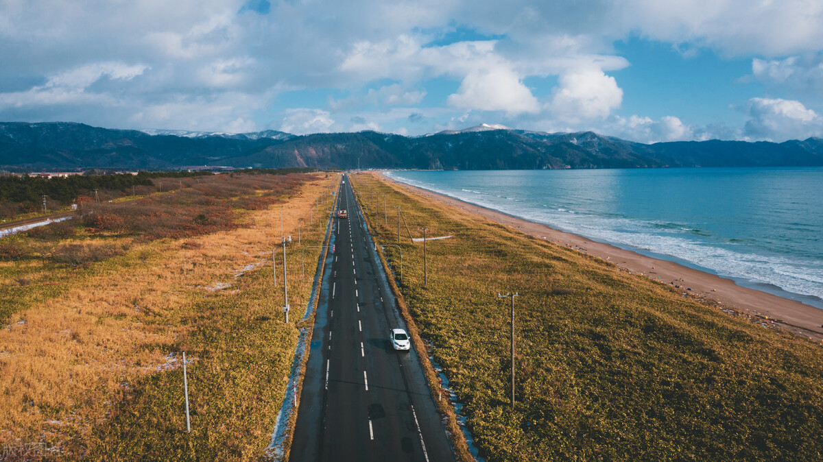 转让国际旅行社手续,出境游旅行社转让步骤