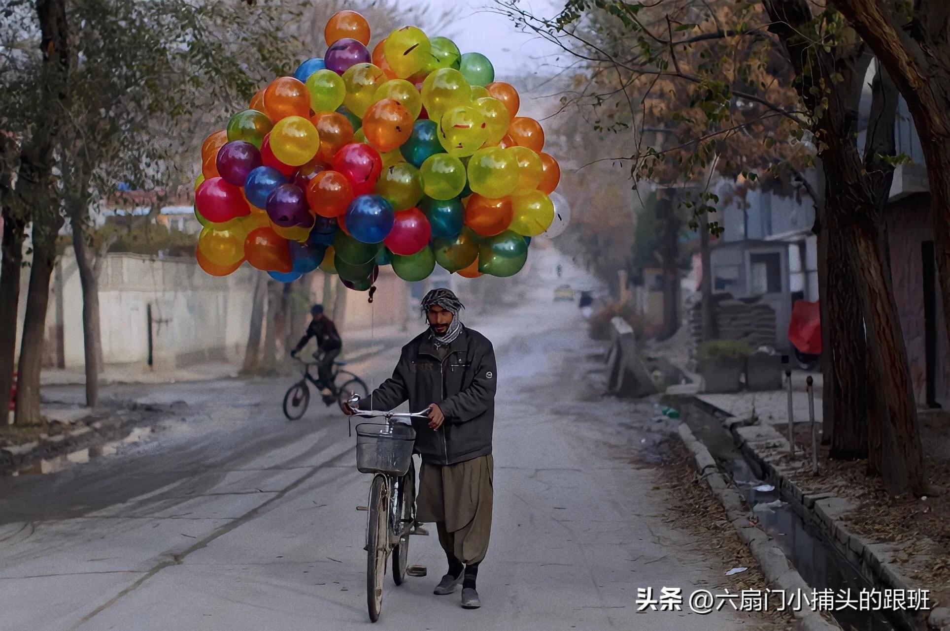 懂懂日记,懂懂日记全集完整版