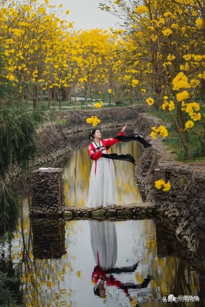 花仙子风铃,风铃花仙子