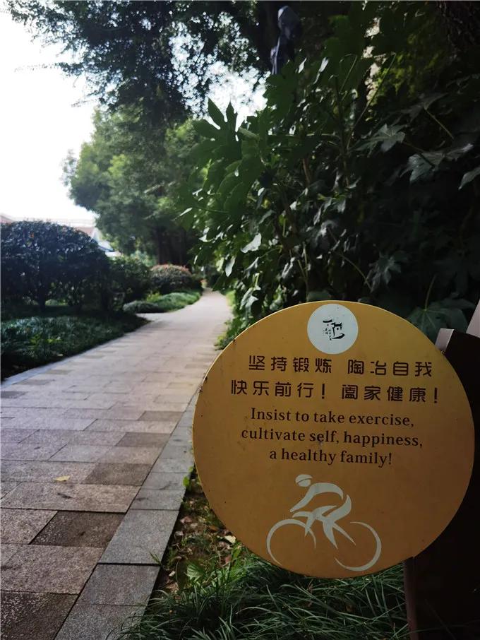 十大健身林荫步道,南京极美长江