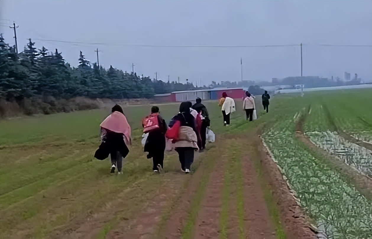 郑州富士康大量员工返乡是真的吗,郑州富士康新员工抵达现状