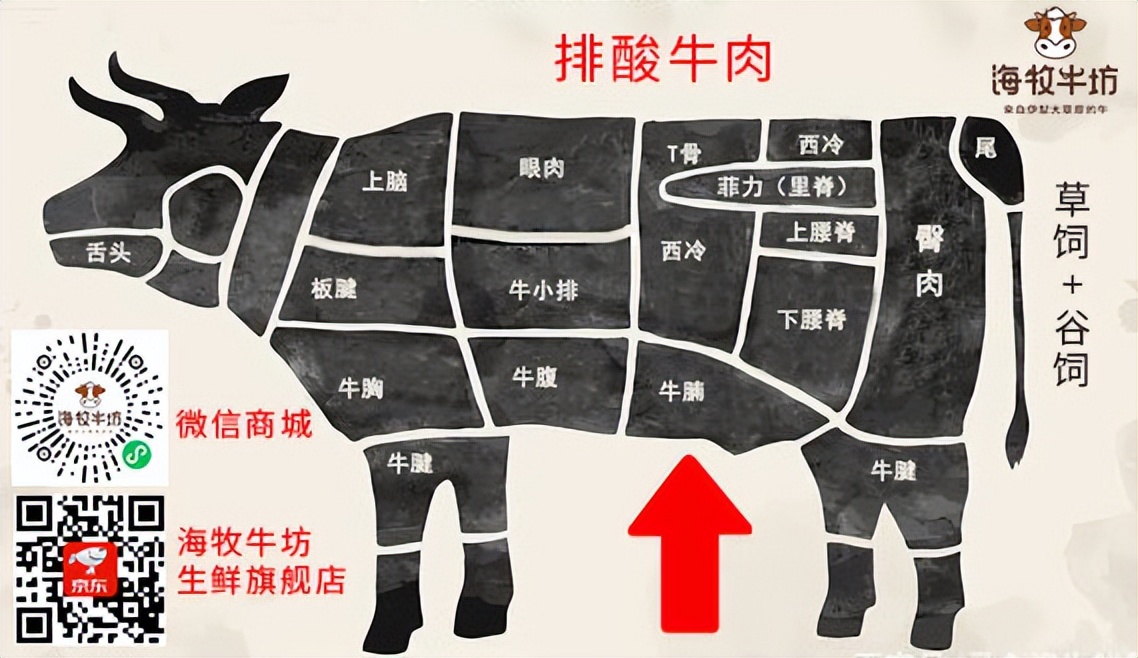 宝宝能吃牛腩吗牛腩为何不能多吃,小孩吃牛肉好还是牛腩好