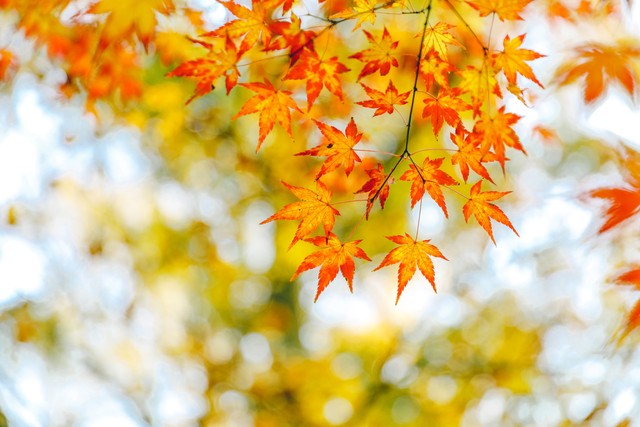 营销策略微商运营策略,微商运营精准营销用户画像