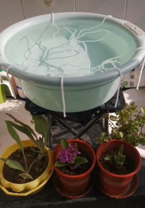 大学放假前自制装备给盆栽浇水,大学生放假前自制装备