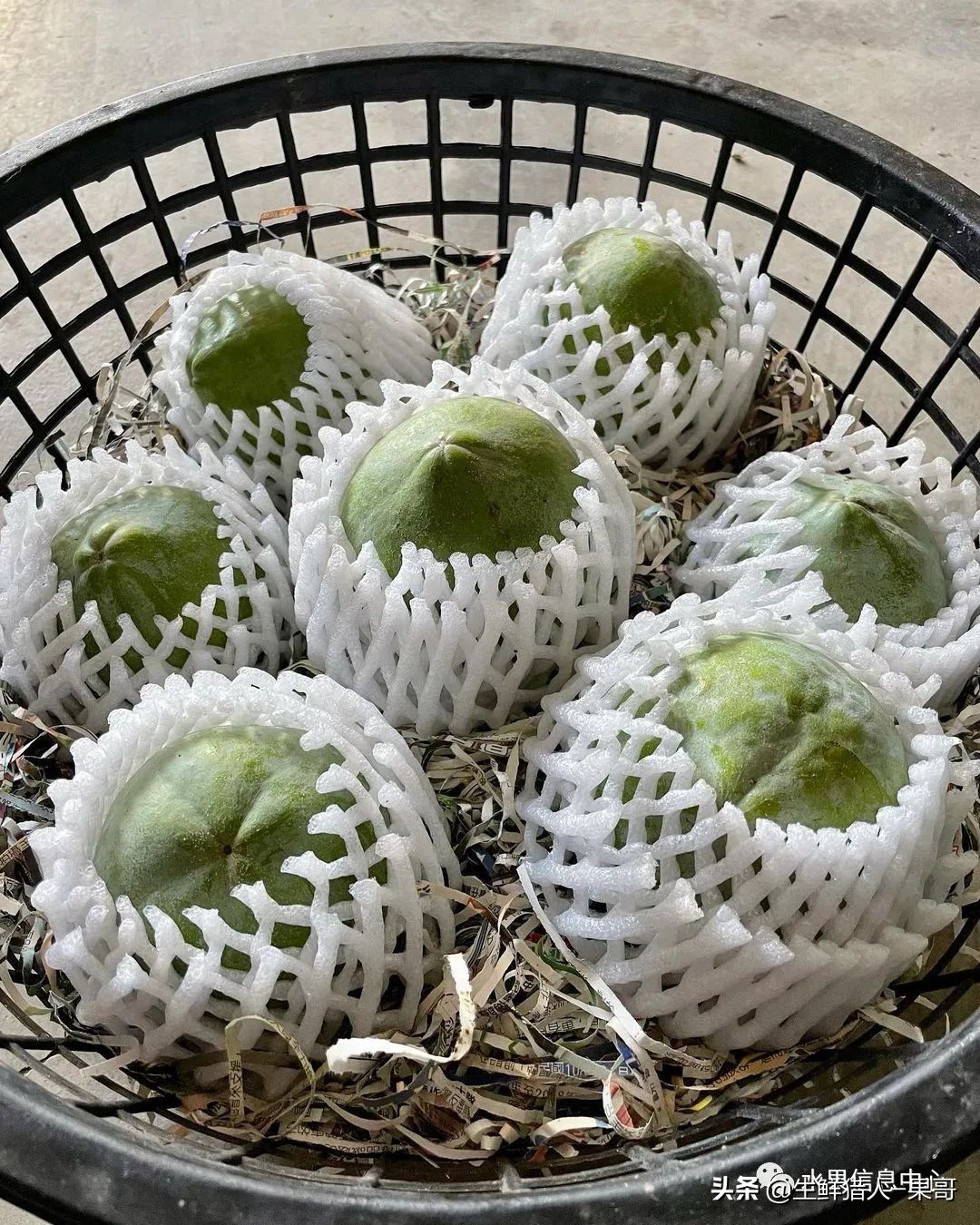 #奇异水果知多少#椰柿、黄晶果、冰淇淋果、巧克力布丁果等