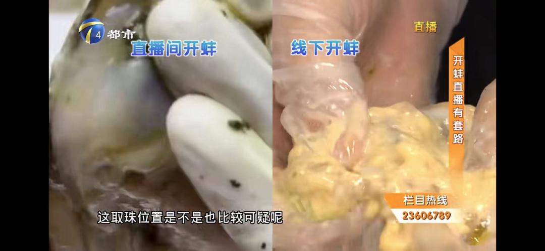 章子怡开蚌珍珠直播,章子怡直播取珍珠是真的吗