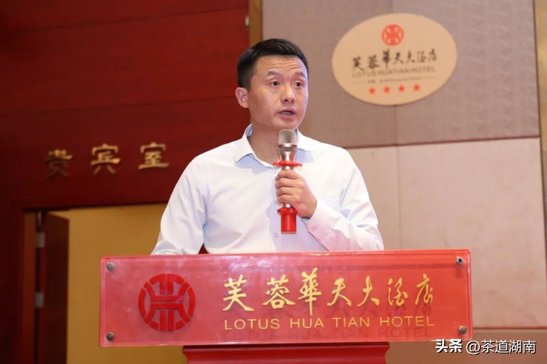 湖南长沙县春茶,2022湖南春茶总结