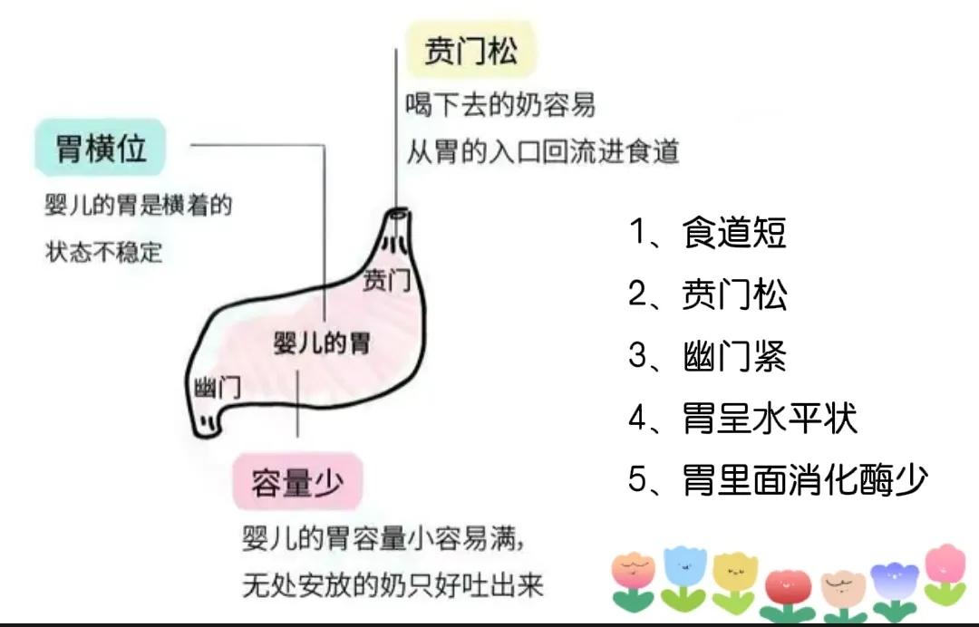 宝宝吃完奶就吐奶还拉肚子,宝宝刚喝完奶用力拉臭臭吐奶
