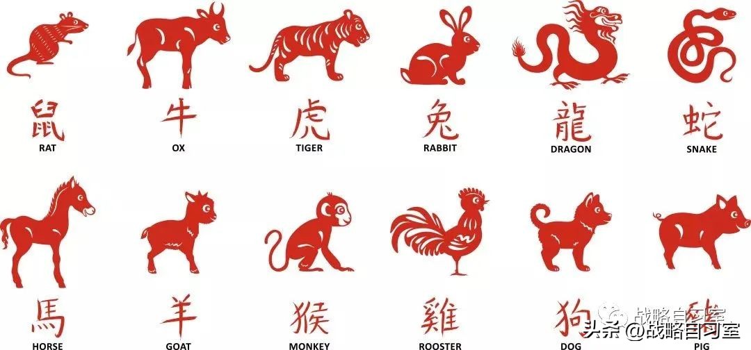 十二生肖出生率排名,十二生肖猪出生年份对照表