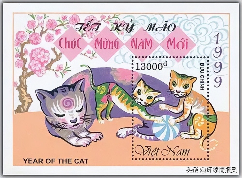 猫也能混进十二生肖？越南为什么不过兔年，而是过猫年？