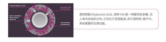 美芙乐Medflue辅助生殖润滑剂：选择、用量与建议