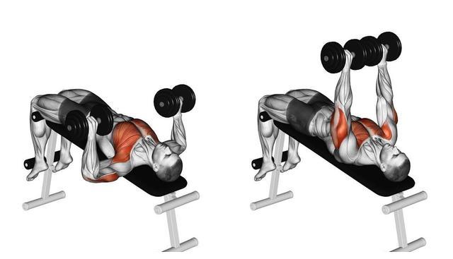 衣服棉与聚酯纤维比例多少最好,聚酯纤维和锦纶的衣服哪个好