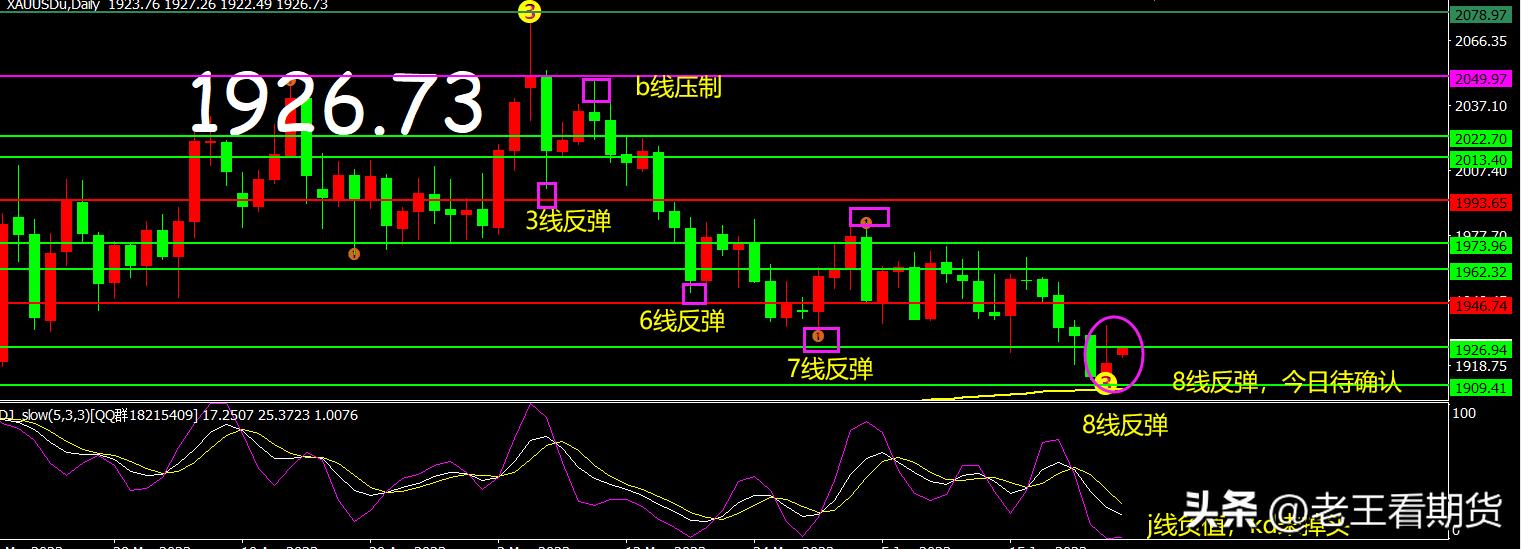 王纲球:黄金测试日线全息公开案例图!