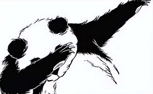 宠物主人养宠常遇到的问题,宠物主人必看