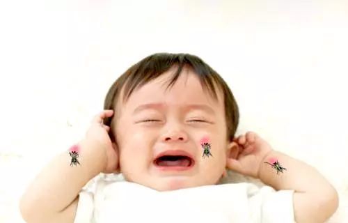 孩子被蚊子咬了用什么方法止痒,娃被蚊子咬