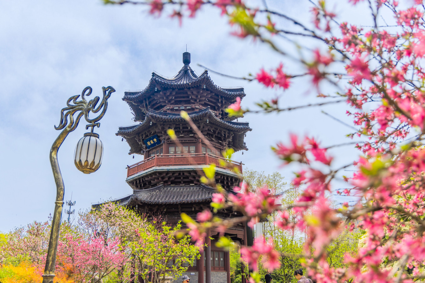 春日下江南杭州,泰州一日游攻略美食