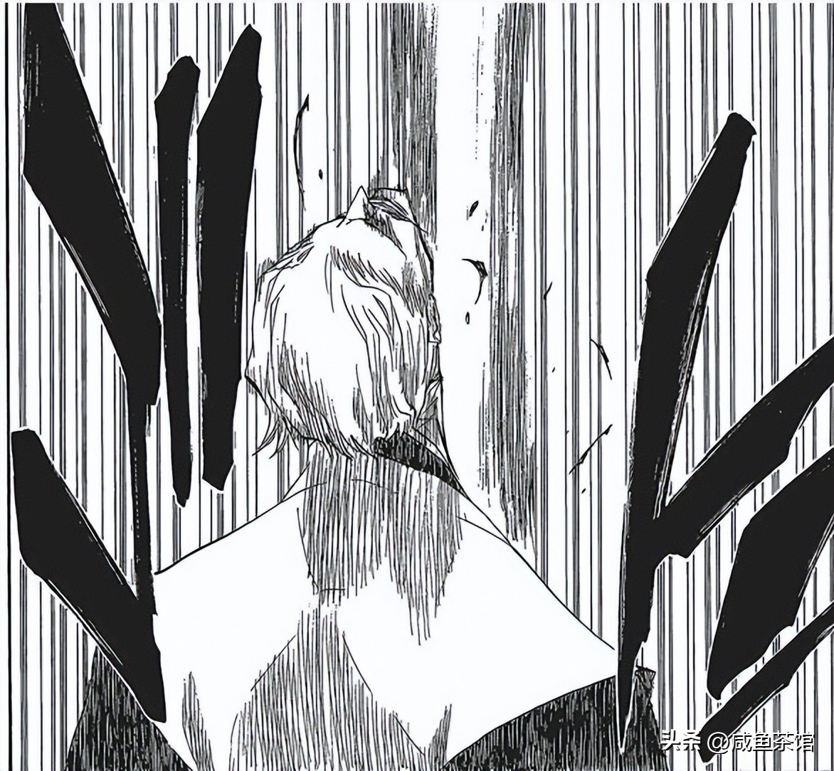 死神bleach副队长卍解合集,死神bleach护庭十番队副队长