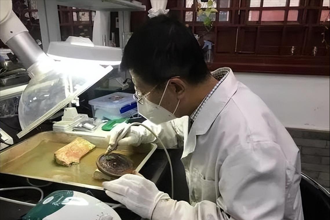 张家界博物馆文物视频,张家界博物馆文物简介图片