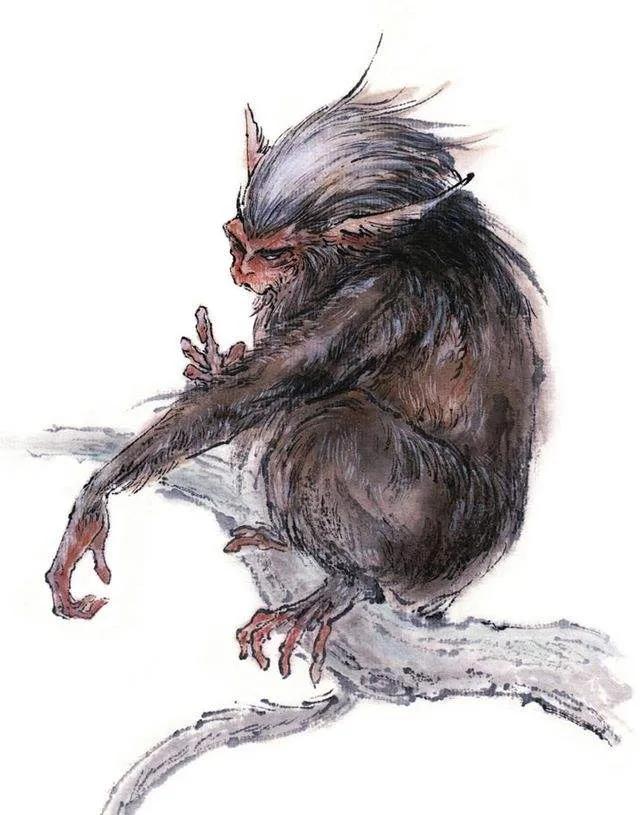 山海经异兽录攻略,山海经里的一足奇兽叫什么