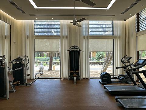 阿联酋丽思卡尔顿,阿联酋野奢帐篷