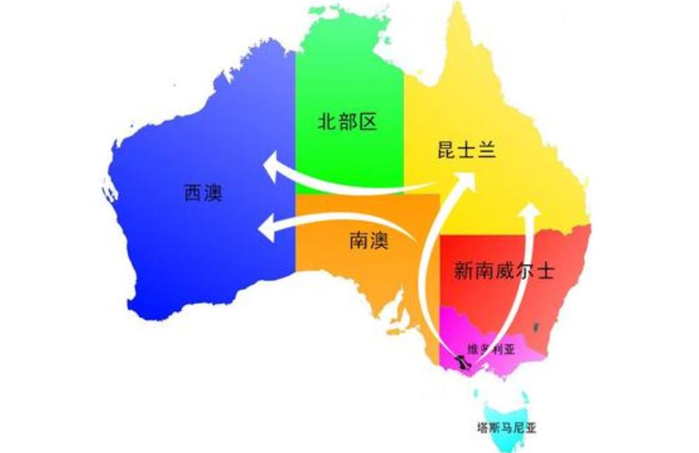 澳洲是怎么解决野兔泛滥的,澳洲野兔泛滥成灾视频