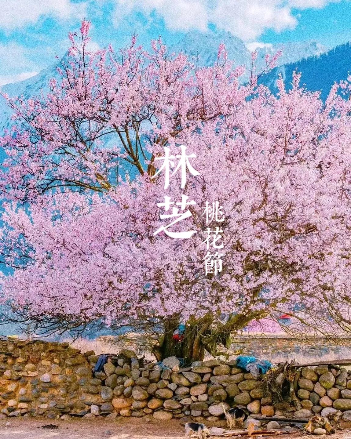 西藏旅游攻略,藏西旅游攻略大全