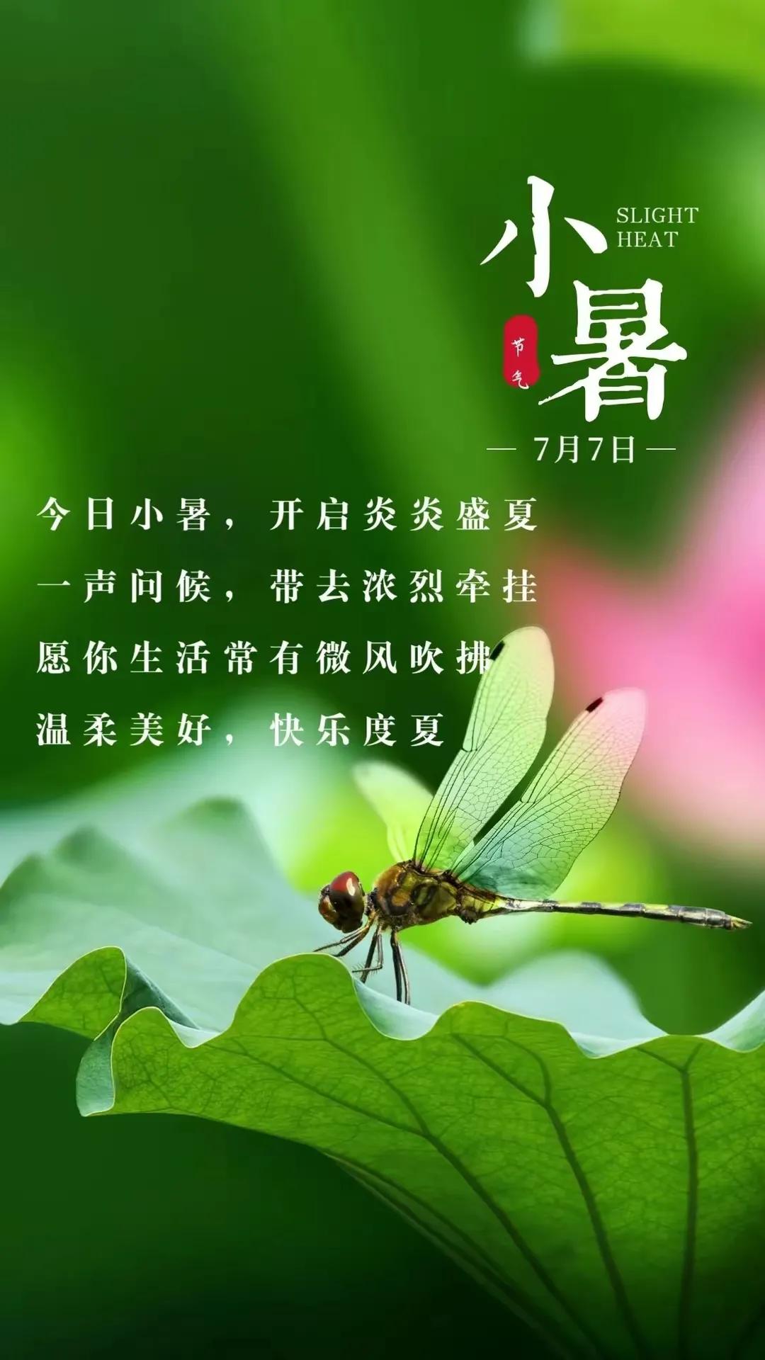 小暑节气祝福语图片简短,小暑节气的祝福语图片