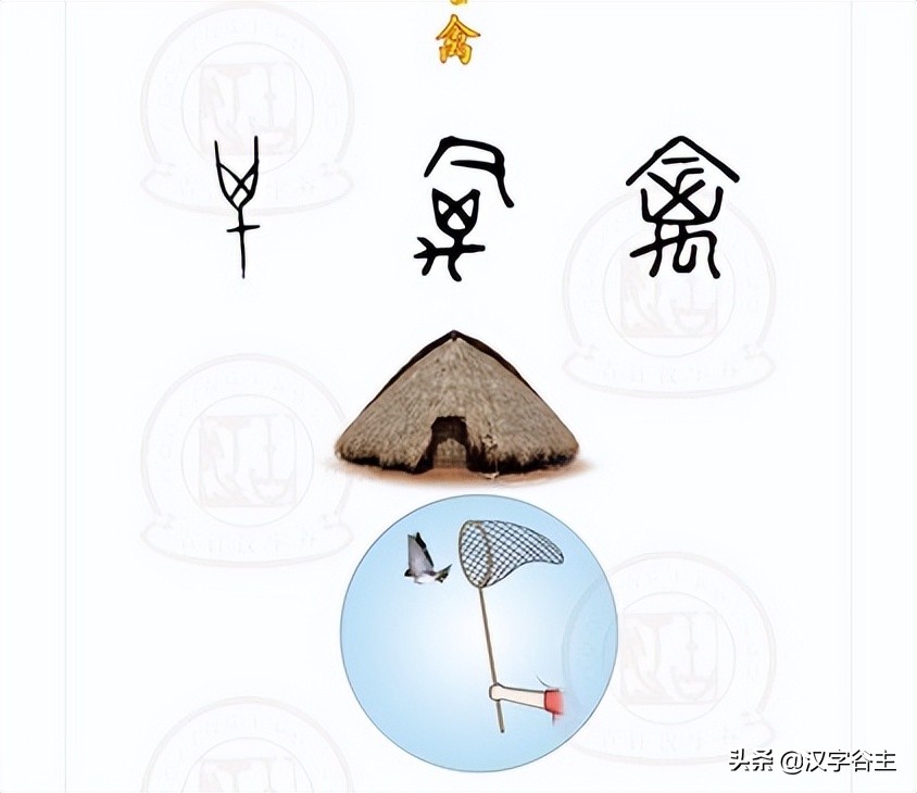 汉字动物篇,汉字兽的演变