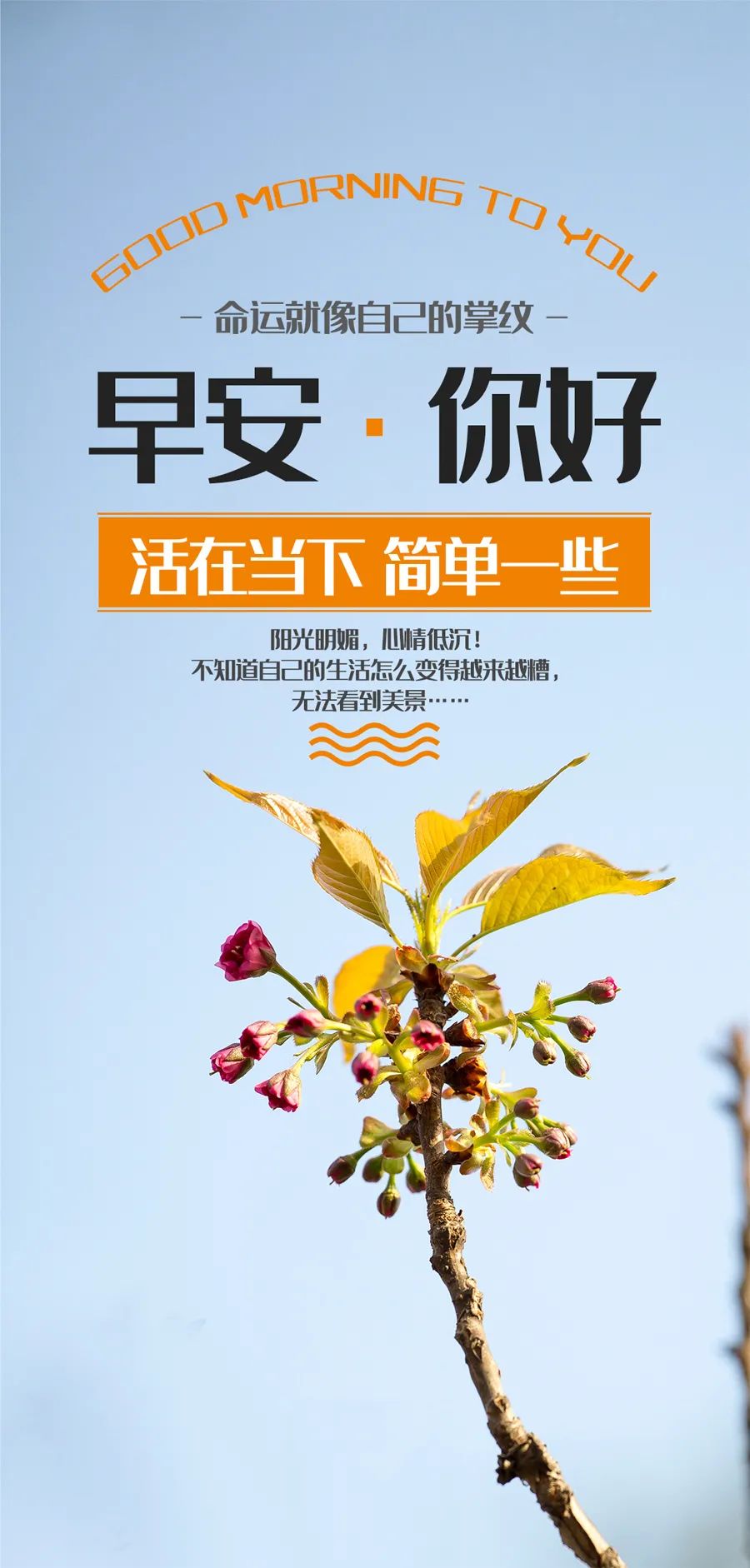 早安心语语录经典短句图片,早安语录简短精辟带图