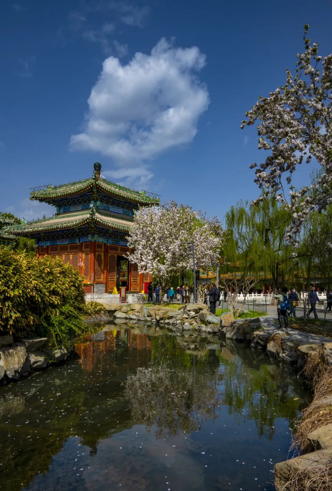 西城印象西平县,西城印象二期