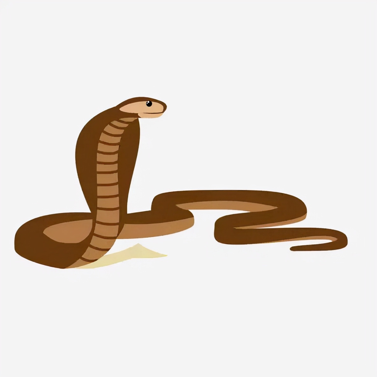 毒蛇嘴里有毒液为什么不会被毒死,毒蛇的毒液为什么可以毒死人