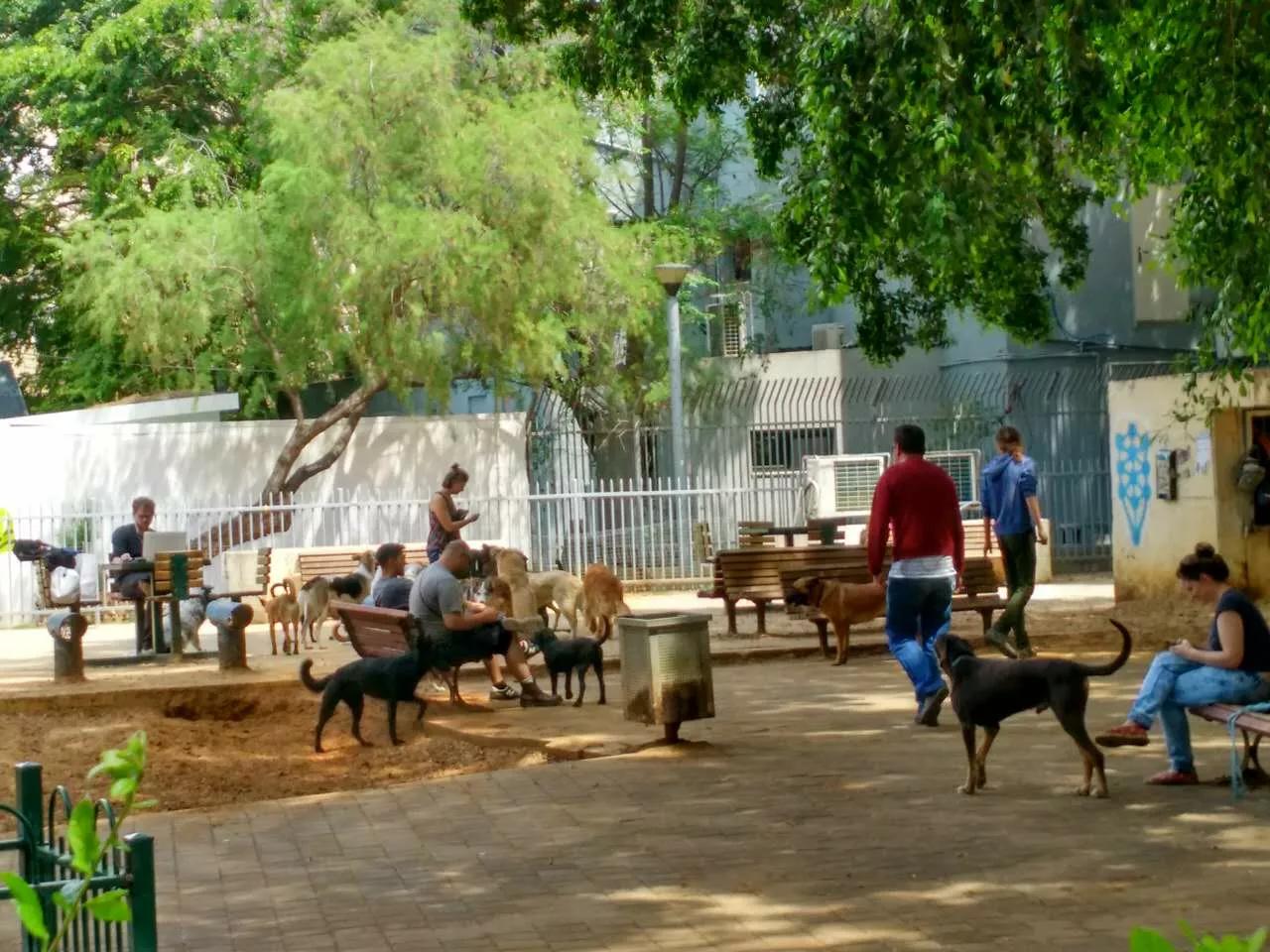 以色列犹太民族历史,以色列犹太民族的惨痛心酸历史