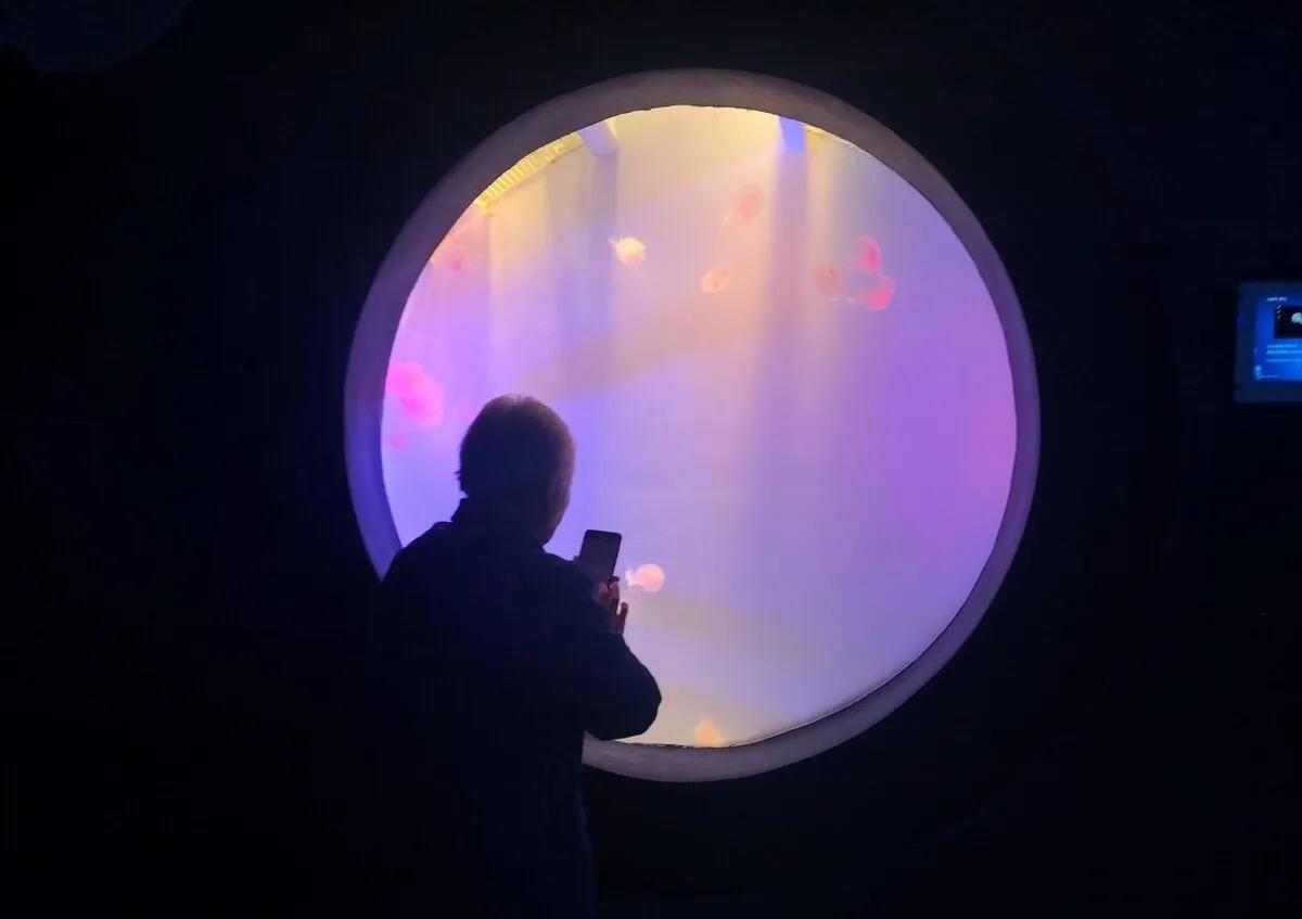 海洋盛宴,重庆极地海洋公园潜水攻略