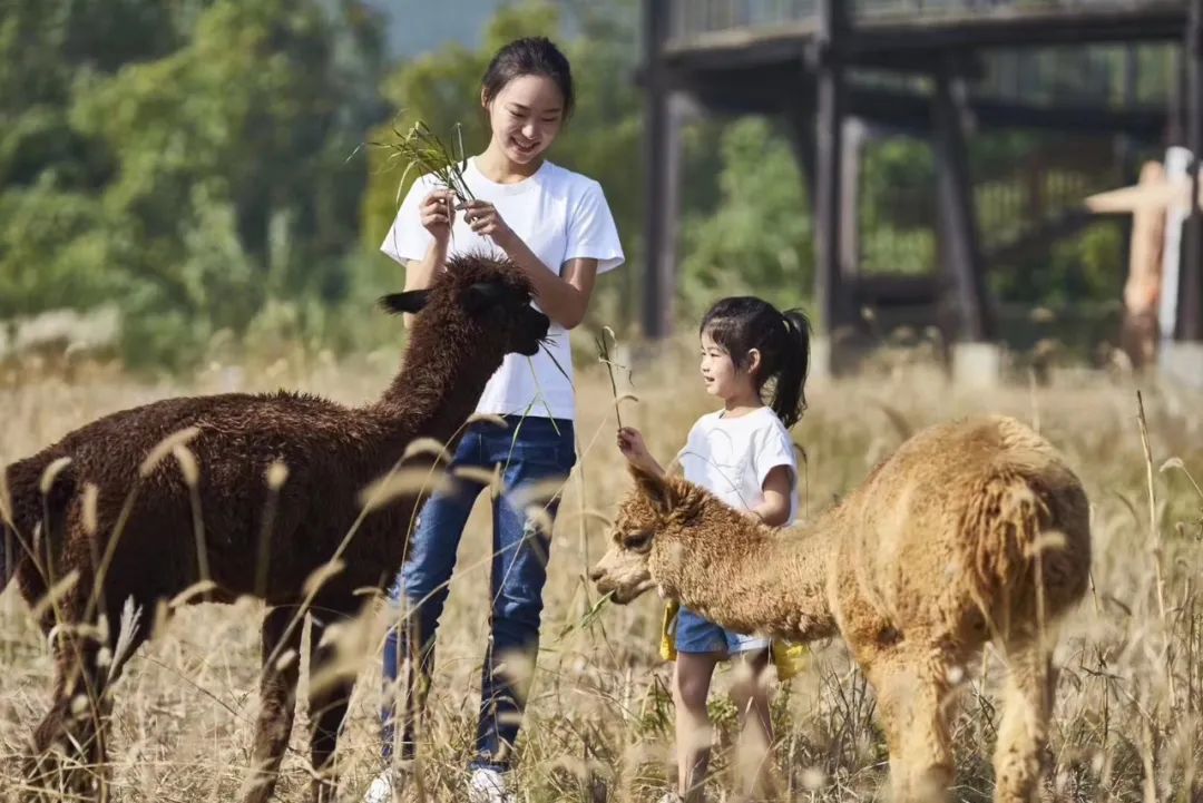 港中旅和乐小镇150万,港中旅和乐小镇88方样板房