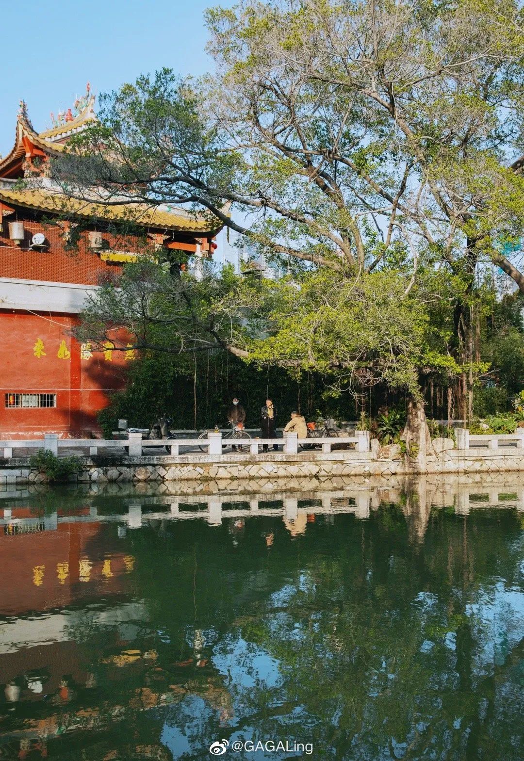 大v说福州,大v说大庆