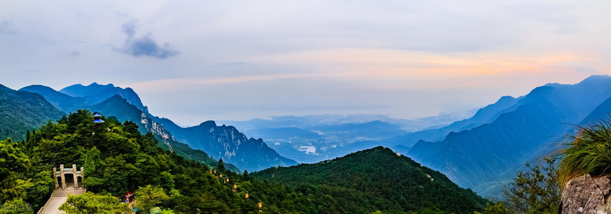奶茶店老板,奶茶店老板娘蔡倩直播视频