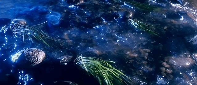 演戏靠念数字，成港片教科书？怪人掀起港片新潮，这次还顶得住吗