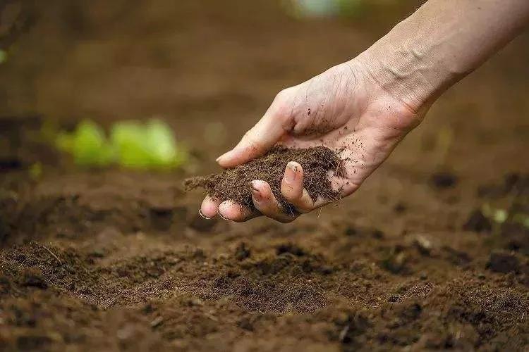 皮肤表面消毒用碘伏好还是酒精好,碘伏和酒精哪个消毒效果最快