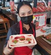 从北到南9集,从北到南看日本第一期