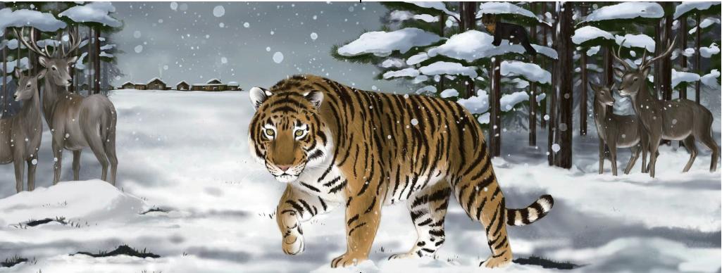 中国有13种猫科动物,中国大猫猞猁图书