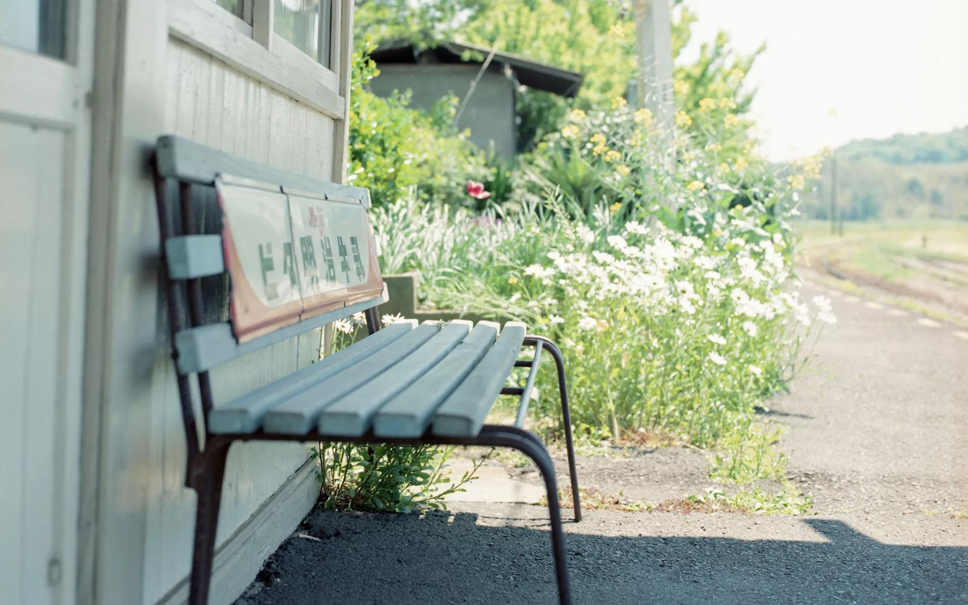 本科没拿到毕业证找什么工作好,毕业证重要还是专业重要