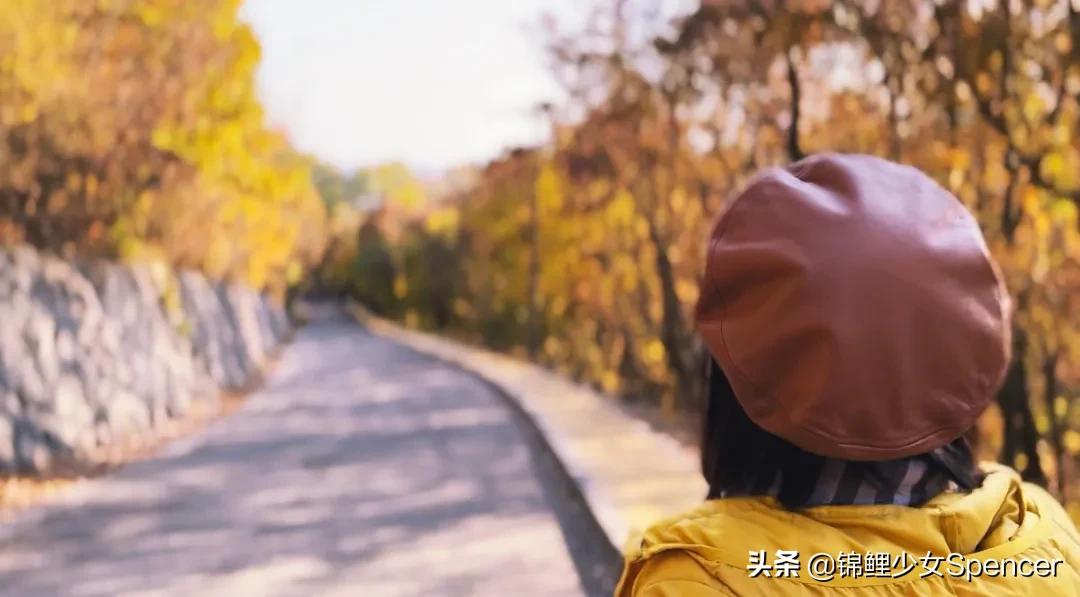 我在布达佩斯，收集了很多秋天送给你