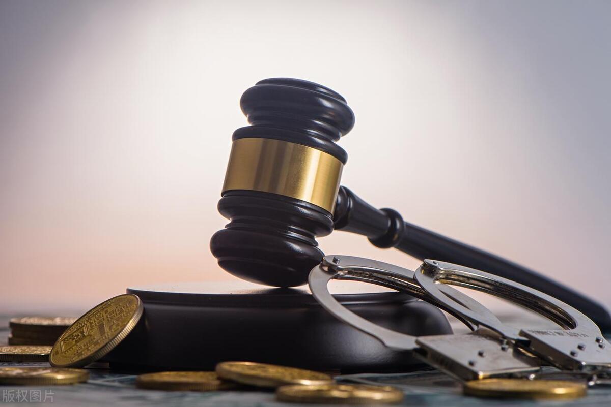 法律与经济学诉民生社会:托马斯·库利和亨利·亚当斯案例1