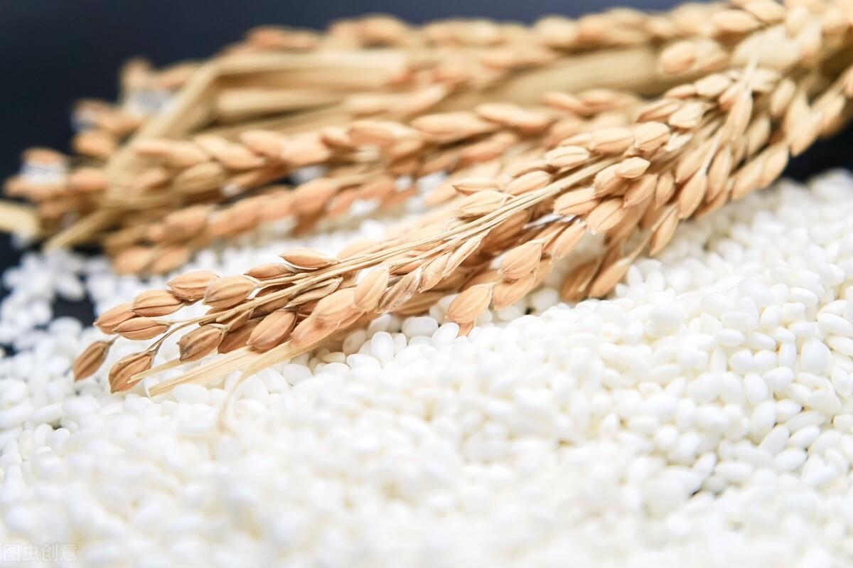 已经生虫的大米怎么去除米虫,大米生虫怎样放不生虫