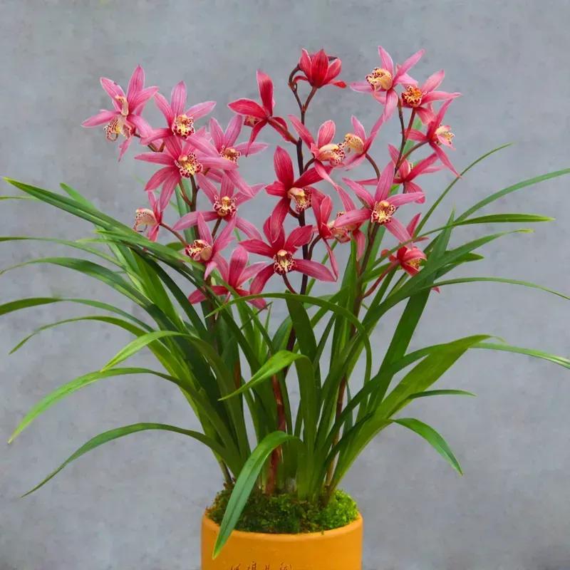 55岁女人退休后干点什么好,55岁女人做什么挣钱