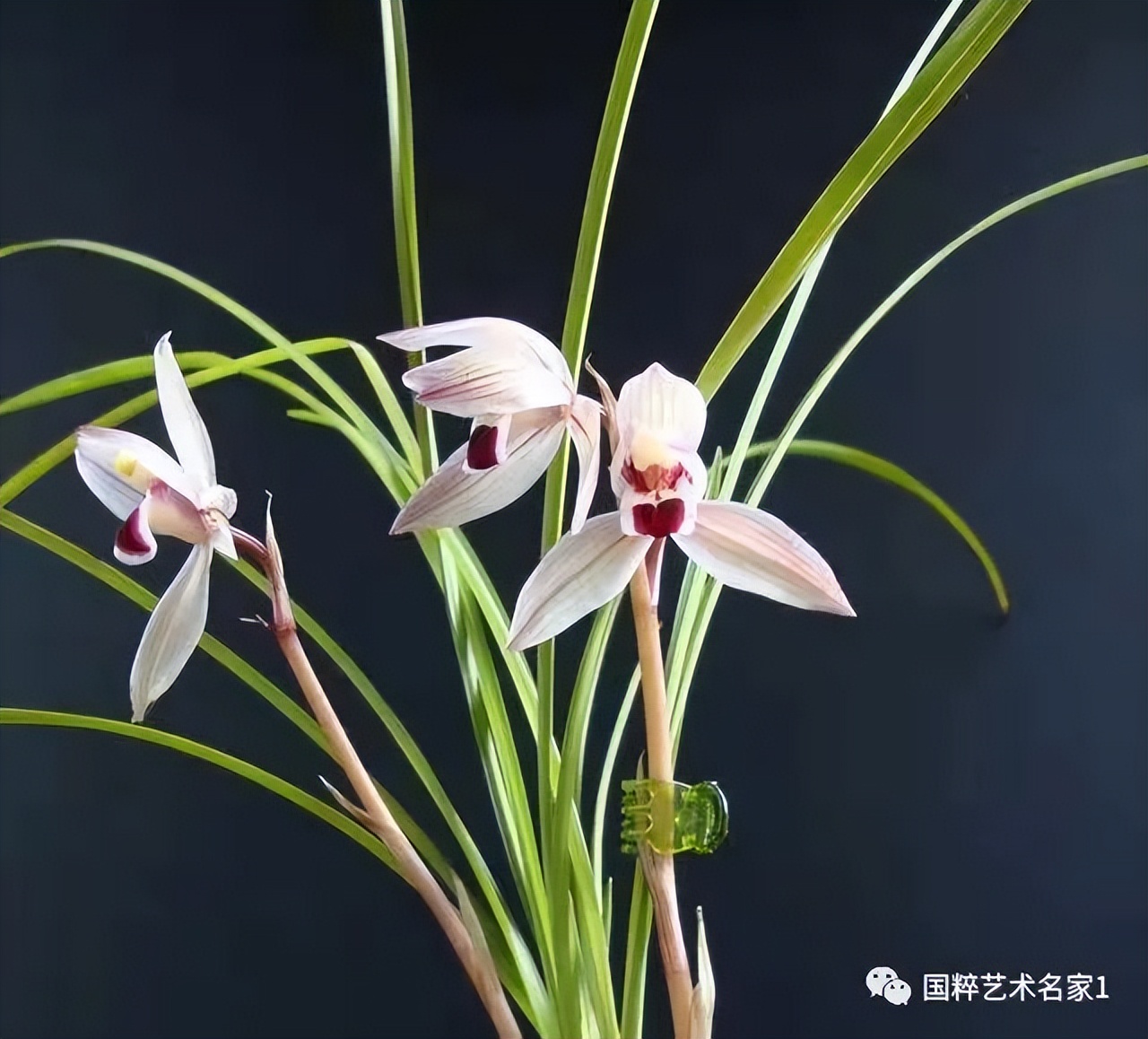 国粹艺术名家刘福生,海丰陈汉洲书法