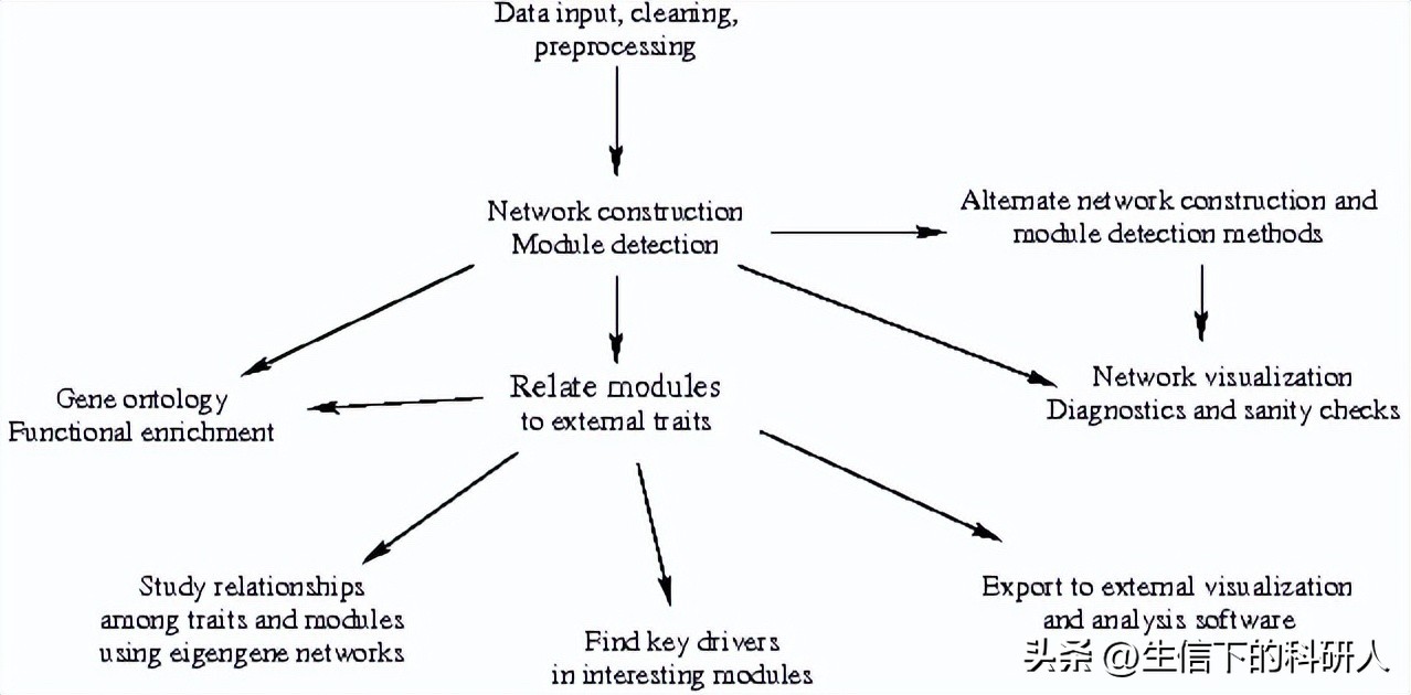 WGCNA分析原理、流程与参数选择