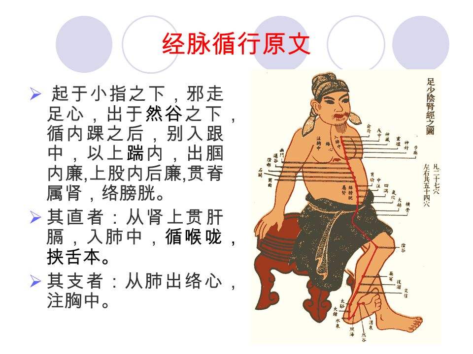 玫子科普：十二经脉，足少阴肾经——活力旺盛的乐观派