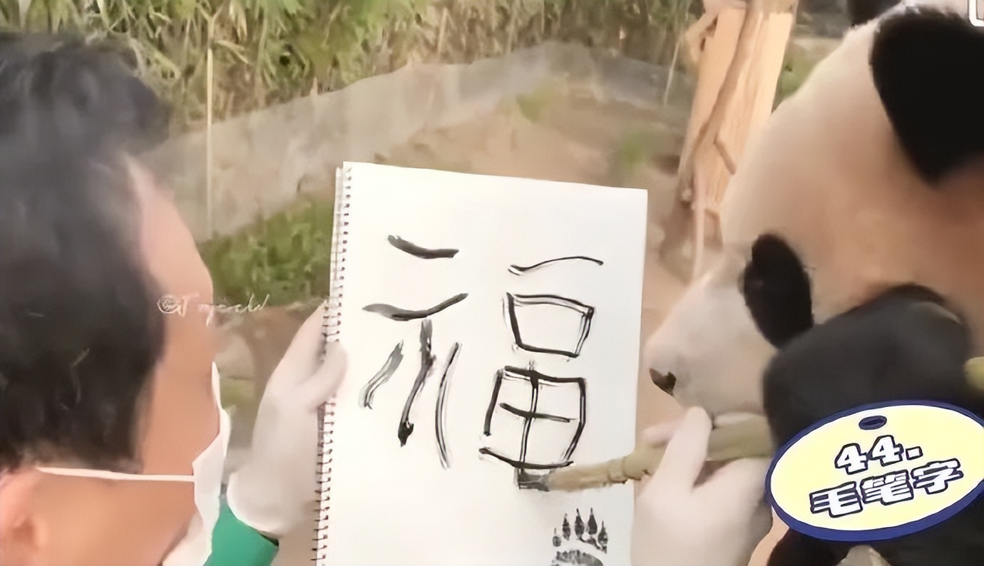 秒出100万！认养丫丫们背后，他们竟是最大赢家？