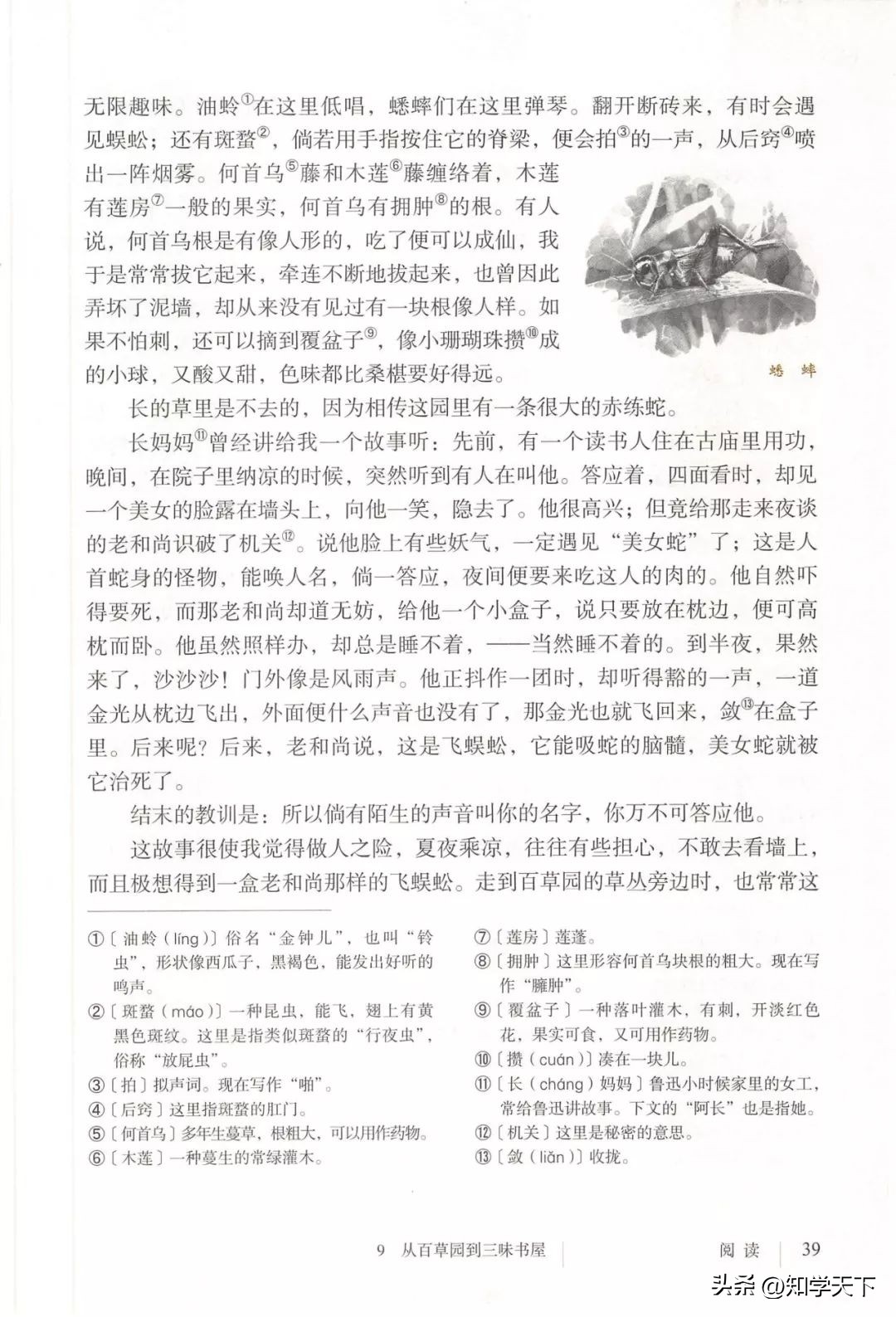 人教版七年级上册语文电子课本pdf,九年级上册语文电子课本高清pdf